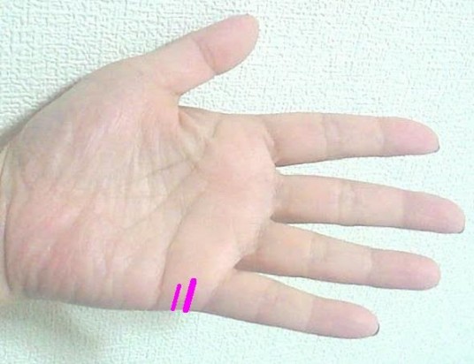 d306dd04-ea62-4e0b-8eb2-5cbcc287eae7