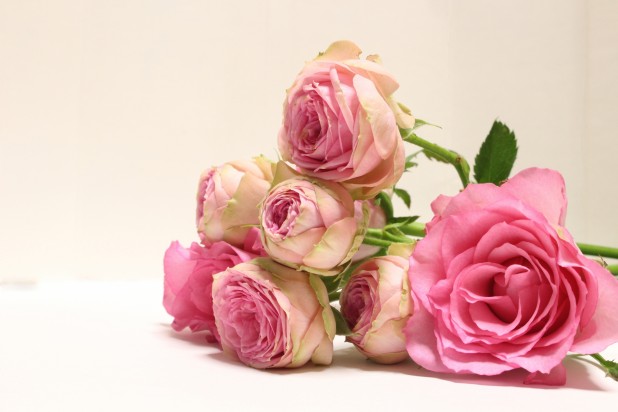 2a1a8e2a525fd22b59c88f46cb6286f4_m
