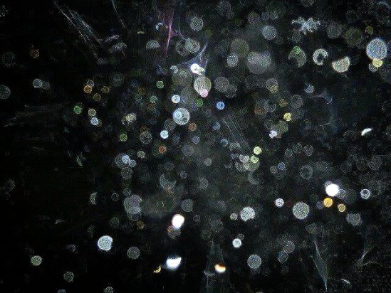 17-11-22-09-15-37-574_deco