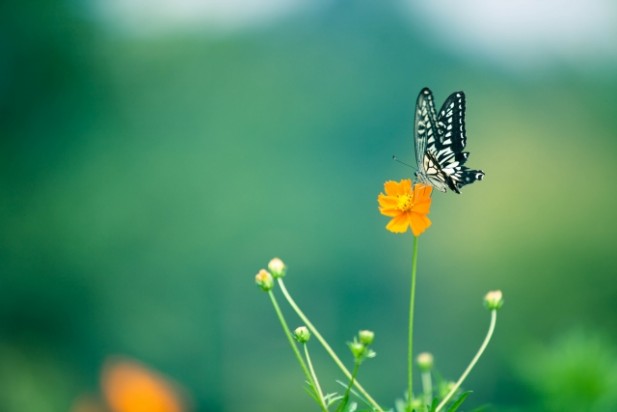 bd0b0bc7dbf51a01817d99a597da0d42_s