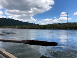 image1 (3)