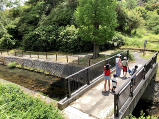 image1 (4)