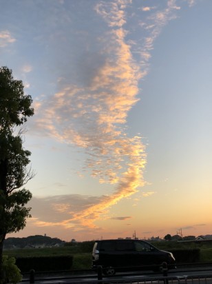 image1 (20)