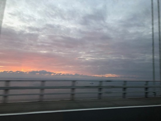 image1 (47)