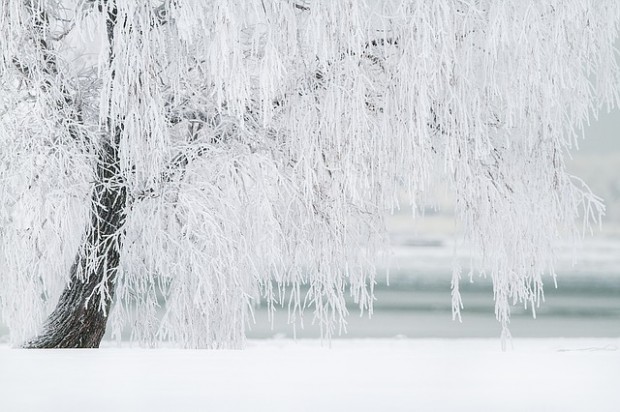 winter-1367153_640