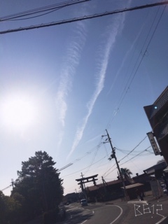 image1 (87)