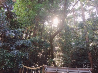 image1 (3)