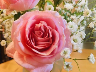 image1 (2)