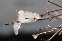 雪解け