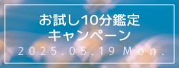 お試し10分鑑定キャンペーン